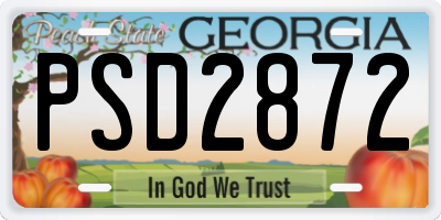 GA license plate PSD2872