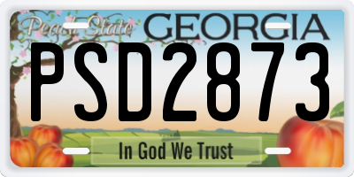 GA license plate PSD2873