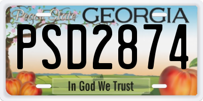 GA license plate PSD2874