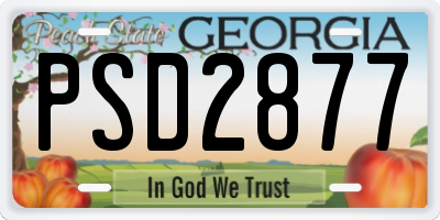 GA license plate PSD2877