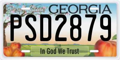 GA license plate PSD2879