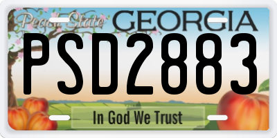 GA license plate PSD2883