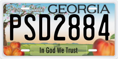GA license plate PSD2884