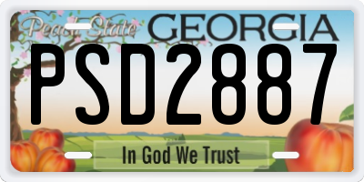 GA license plate PSD2887