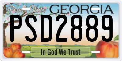 GA license plate PSD2889