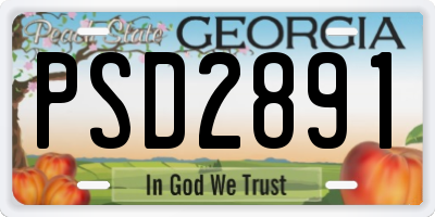 GA license plate PSD2891