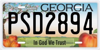 GA license plate PSD2894