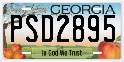 GA license plate PSD2895