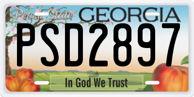 GA license plate PSD2897