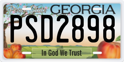 GA license plate PSD2898