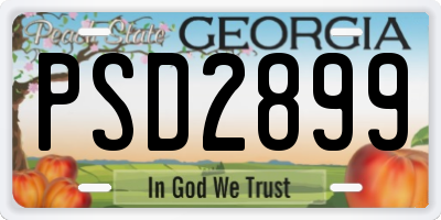 GA license plate PSD2899