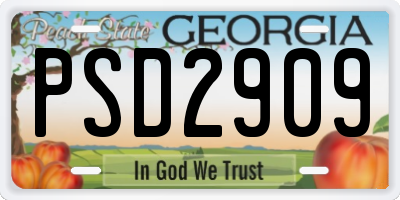 GA license plate PSD2909