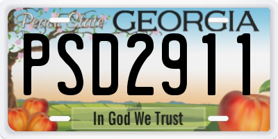 GA license plate PSD2911