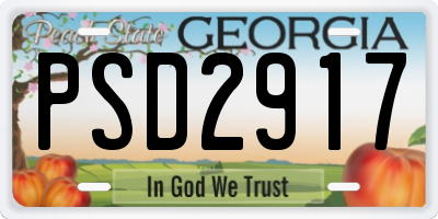 GA license plate PSD2917
