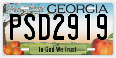 GA license plate PSD2919
