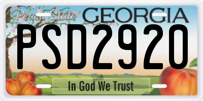 GA license plate PSD2920