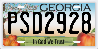 GA license plate PSD2928