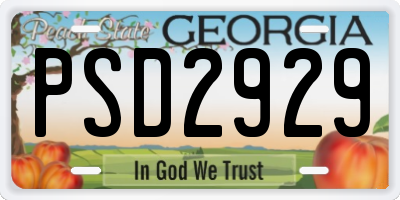 GA license plate PSD2929