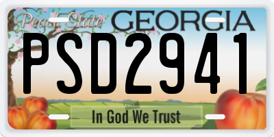 GA license plate PSD2941