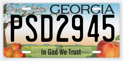 GA license plate PSD2945