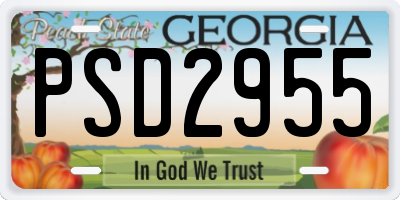 GA license plate PSD2955