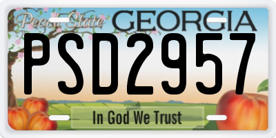 GA license plate PSD2957