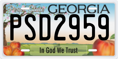 GA license plate PSD2959