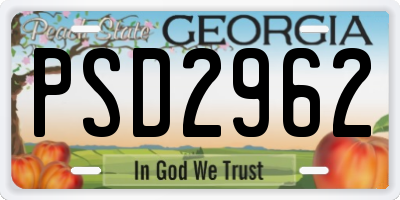 GA license plate PSD2962