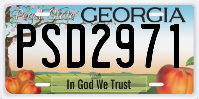 GA license plate PSD2971