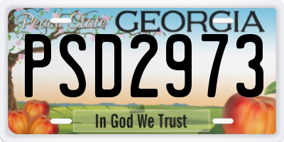 GA license plate PSD2973