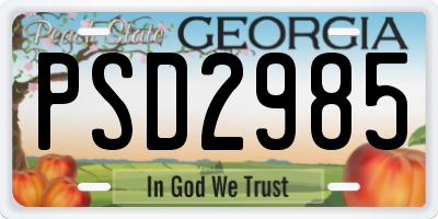 GA license plate PSD2985