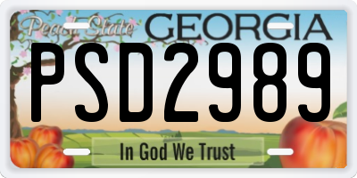 GA license plate PSD2989