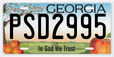 GA license plate PSD2995