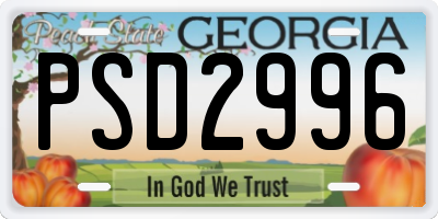GA license plate PSD2996