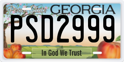 GA license plate PSD2999