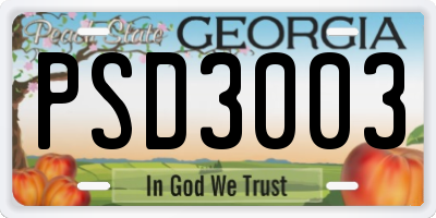 GA license plate PSD3003