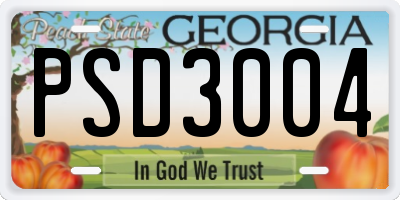 GA license plate PSD3004