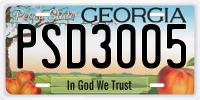 GA license plate PSD3005