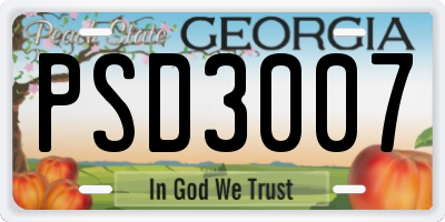 GA license plate PSD3007