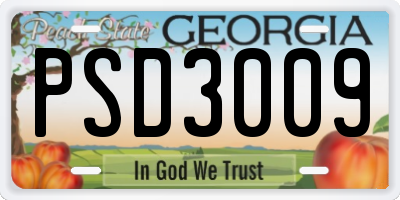 GA license plate PSD3009