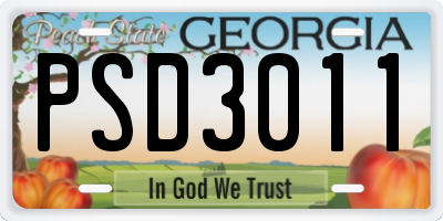 GA license plate PSD3011
