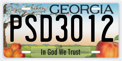 GA license plate PSD3012