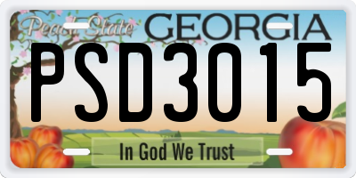 GA license plate PSD3015