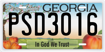GA license plate PSD3016