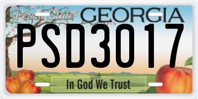 GA license plate PSD3017
