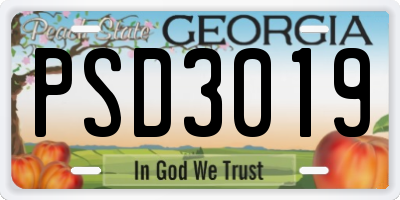 GA license plate PSD3019