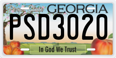 GA license plate PSD3020