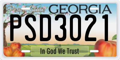 GA license plate PSD3021