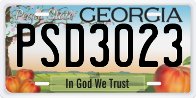 GA license plate PSD3023