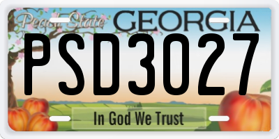 GA license plate PSD3027